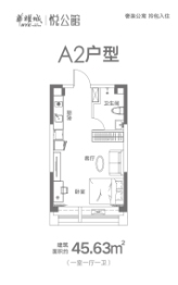 华耀城悦公馆1室1厅1厨1卫建面45.63㎡