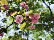 急售大学城 双拼别墅 二百平大院 带车库 看房方便