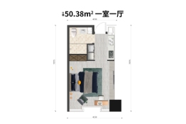 北辰·光谷里1室1厅1厨1卫建面50.38㎡