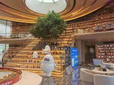 西永 禹洲博学家一期四房128万