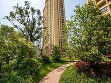 朝南 采光佳格局好,视野开阔,布局合理大院子和露台