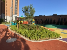 三室精装修,楼层好,光线充足,近车站