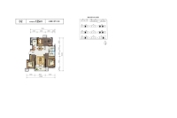 洋房D2-125平米户型