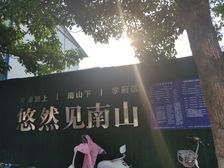 牡丹广场,新交房小区,天小、视野一览无余,采光刺眼