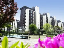 中原路 边户三室双卫 采光好 无遮挡