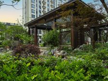 上城院子景观楼层采光好,可见东方明珠三件套随时可看