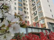 民发广场旁,星悦里两室,户型方正