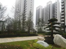 新小区 小高层 环境好 交通便利 急售