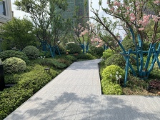 光谷未来学府 南北通透,采光好 装修好,环镜优美 视野好,诚心出售