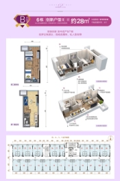 碧桂园·凤凰湾2室1厅1厨1卫建面28.00㎡