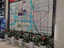 楼层好人车分流绿化好,双地铁奥体旁三甲医院