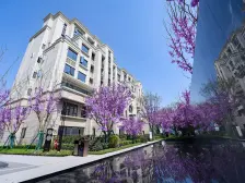 轻轨站商圈品质旁洋房顶跃带屋顶花园