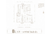 B户型117平