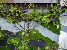 龙湖西府琅悦 5室2厅 东 南