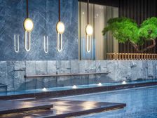 龙湖西府琅悦 1室1厅 南