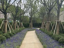 璟尚雅宸 可以大刀 精装 小高层 房东亏了一百多个卖房