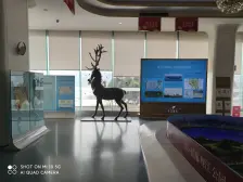 百万方滨江公园大盘 金科物业 视野开阔大三房