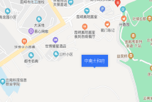 中南太和府电子地图