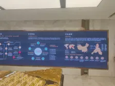 带露台、有地下、钥匙房随时看诚心卖不靠价