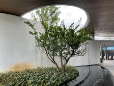 融创·云湖十里3室2厅东东南南