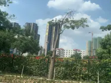 一房一厅 可明火 独立洗手间 阳台 高层视野好