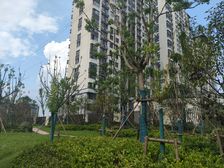 新小区,户型通透,户型方正,开间朝南,楼采光无遮