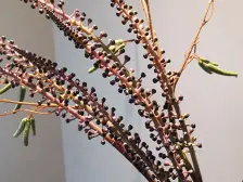 新小区,环境好 型方正。楼层hen好 合格 的洋