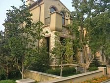 【100%真房源】君山别墅312平米毛坯仅售668万!