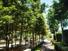 九州岛国际城3室2厅南北