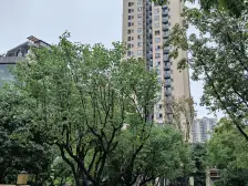 巴南万达中交业主安心出售价格可以谈随时可以看房子