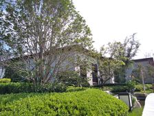 鲁商万科城臻园 1室1厅 南