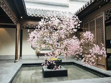 建发养云一期 4室2厅 南 北