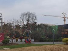 融信海纳新潮C区 1室1厅 南