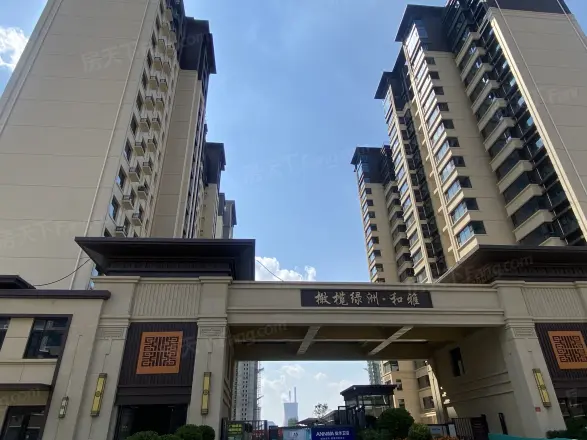 橄榄绿洲