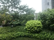 碧桂园樾府,已出证,业主诚意出售,比亚迪厂旁