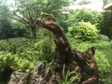 此房毛坯未装修,业主诚意出售,户型好