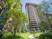 碧桂园城央壹品 3室1厅 南