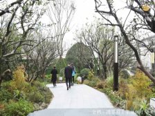 宏声大道 金科博翠府四房136万