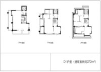 272平D1户型