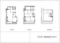 165平D3户型