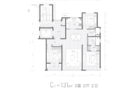 C1-131平3室2厅2卫