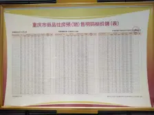 玖悦兰亭 九龙半岛 次新小区 正规三房