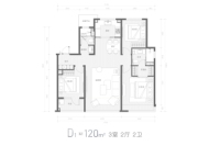 D1-120平3室2厅2卫