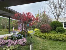 幸福金茂悦三室两厅两卫、边户好房源