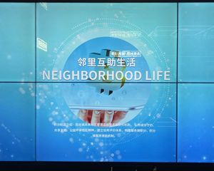 山嘴头未来社区,户型结构好,房东诚心出售