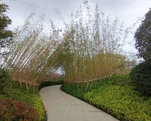 保利和光屿湖3室2厅南