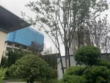 界石全洋房社区,精装修洋房三房双卫,业主急售。