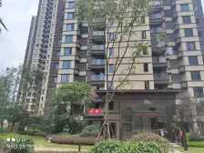 精装看江大平层,横厅四房双卫,小区环境好,