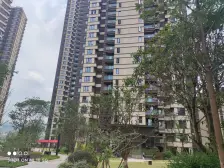 大横厅纯改善四房,3 T 4户,楼层视野好 看江