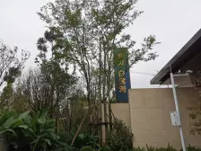 璧山街道 富力白鹭湾琅廷四房92.7万